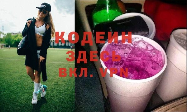 спайс Няндома