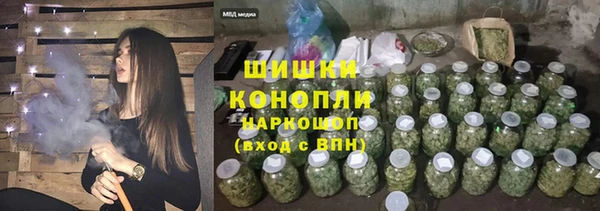 спайс Няндома